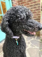 Load image into Gallery viewer, Pet Collar Charms
