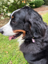 Load image into Gallery viewer, Pet Collar Charms
