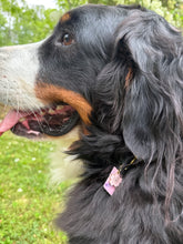 Load image into Gallery viewer, Pet Collar Charms
