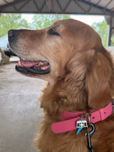 Load image into Gallery viewer, Pet Collar Charms
