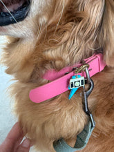 Load image into Gallery viewer, Pet Collar Charms
