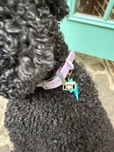 Load image into Gallery viewer, Pet Collar Charms
